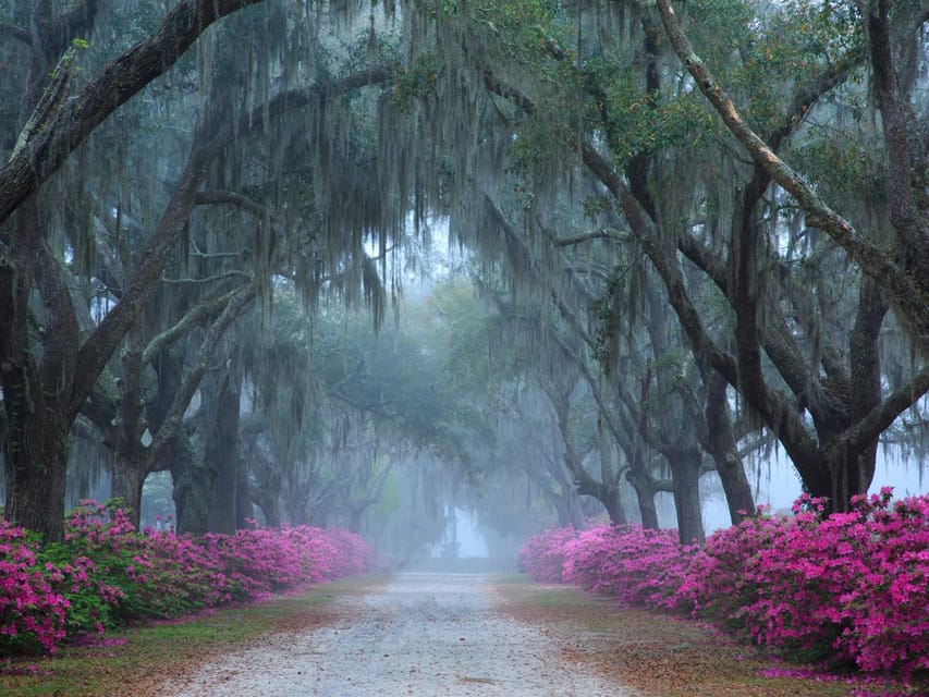 Savannah: Bonaventure Cemetery Tour – Savannah, Georgia