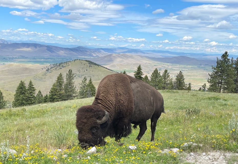 Scenic Driving Tour Flathead Lake and Bison Range – National Bison Range, Montana