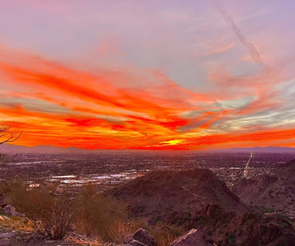 Scottsdale: Desert Classic Guided Hike | Amazing Scenery! – Phoenix, Arizona