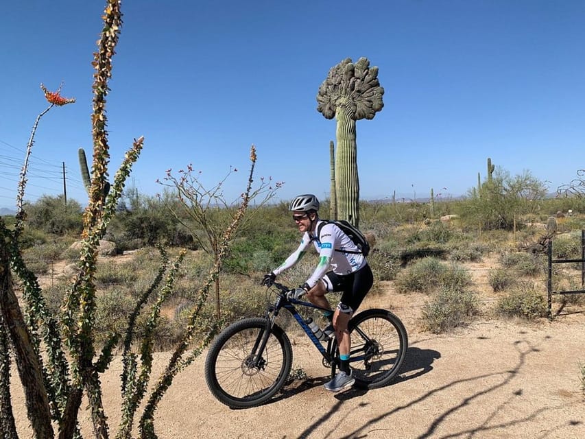 Scottsdale: Guided Mountain Bike Tour through the Desert – Pima Dynamite Trailhead, Arizona