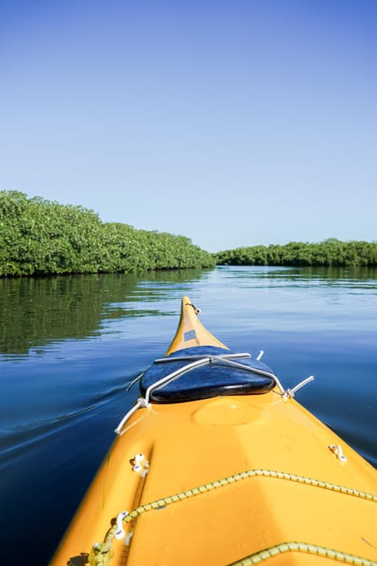 Sea Kayak Tour – Mangrove Safari – La Paz, Mexico, Mexico