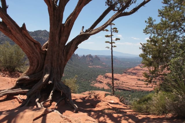 Sedona: PRIVATE 2-Hour Colorado Plateau Scenic Jeep Tour – Sedona, Arizona