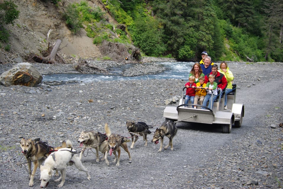 Seward: Summer Dog Sled Ride and Seavey Estate Tour – Alaska, Alaska