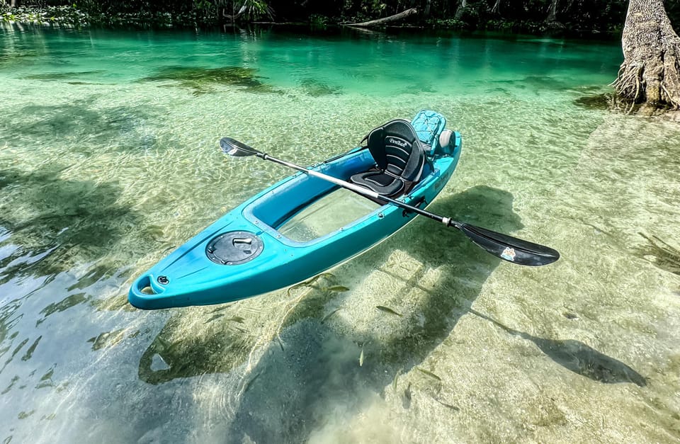 Silver Springs: Glass Bottom Kayak and Wildlife Tour – Silver Springs State Park, Florida