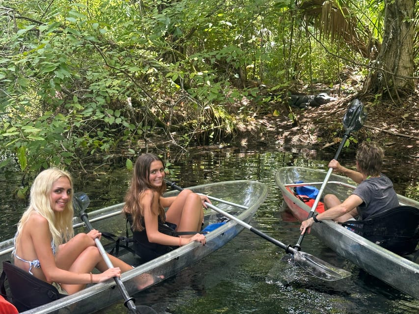 Silver Springs: Guided Clear Kayak or Paddleboard Gator Tour – Silver Springs State Park, Florida