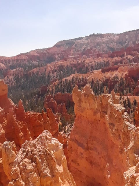 Small Group Tour Zion & Bryce Canyon National from Las Vegas – Zion National Park, Utah