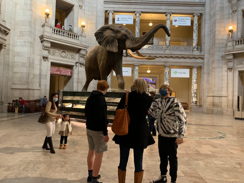 Smithsonian National Museum of Natural History Guided Tour – Washington DC