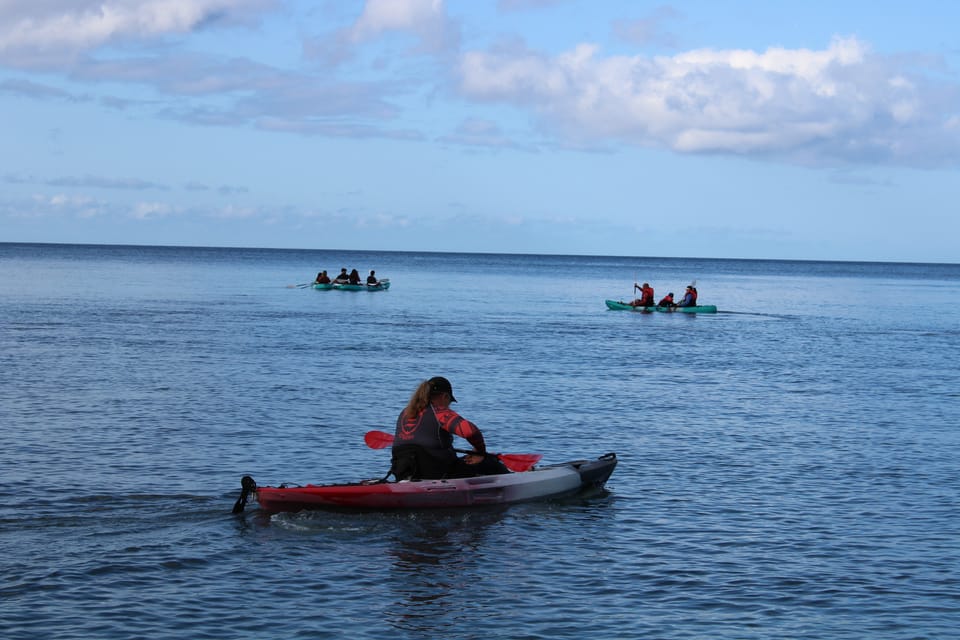 South Maui: Au’au Channel Kayak and Snorkel Adventure – Hawaii, Hawaii