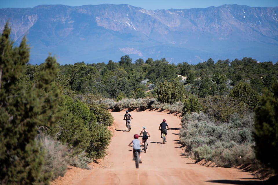 Springdale: Half-Day Mountain Biking Adventure – Zion National Park, Utah