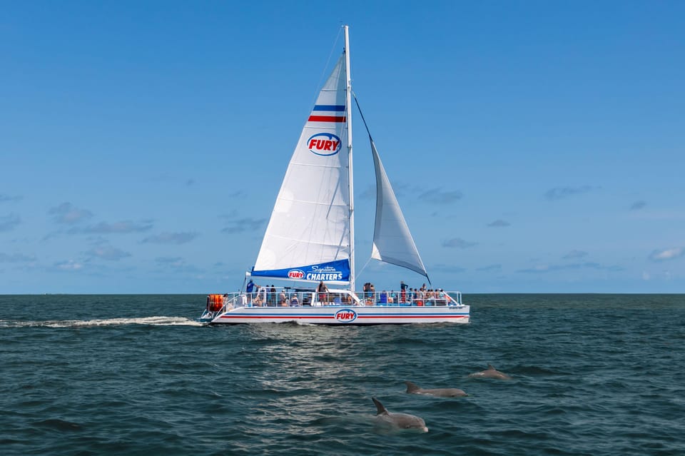 St. Augustine: Dolphin Watching Harbor Tour with Drinks – St. Augustine, Florida