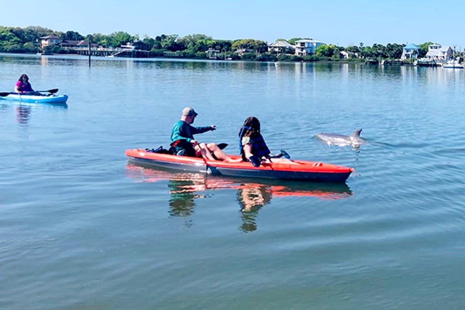 St. Augustine: Dolphin and Manatee Paddle or Kayak Tour – St. Augustine, Florida