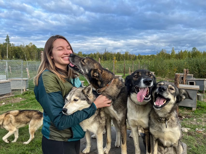 Summer Sled Dog Kennel Tour – Talkeetna, Alaska