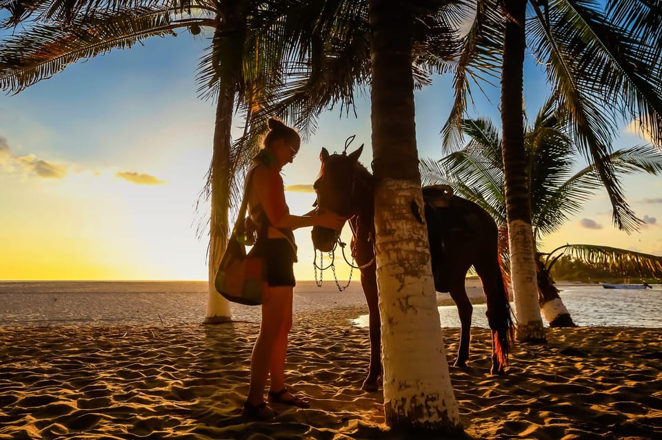 Sunset by Horse on the Beach – Laguna de Manialtepec, Mexico