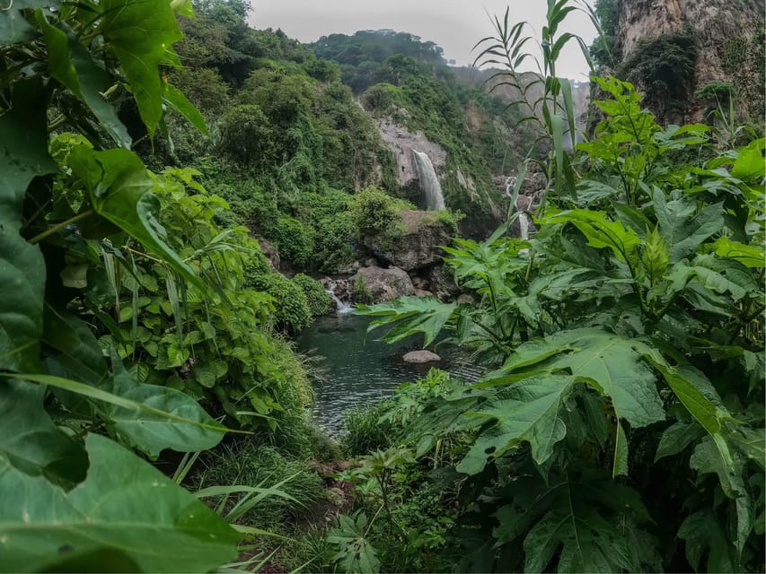 Swim in lush springs and waterfalls in Guadalajara – Guadalajara, Mexico