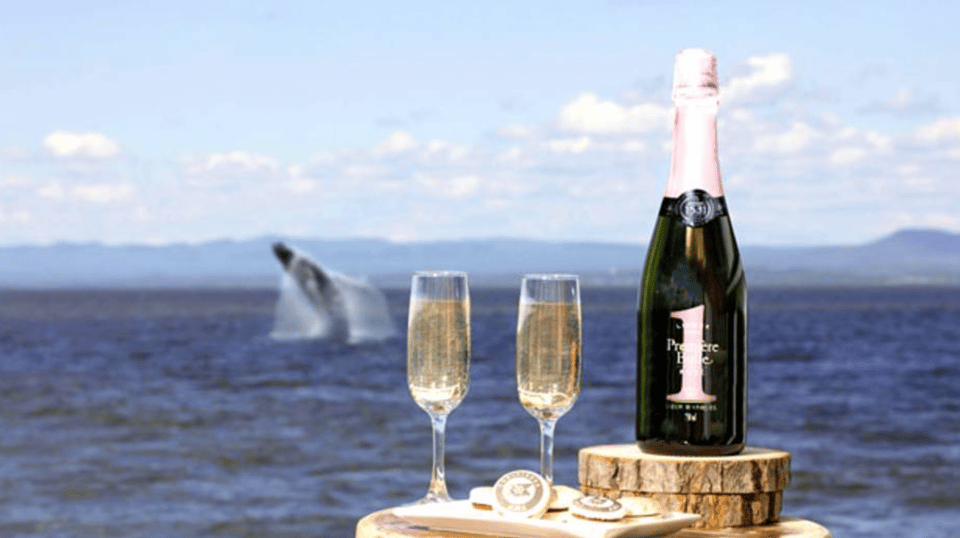 Tadoussac: VIP Lounge or Upper Deck Whale Watching Cruise – Tadoussac, Canada