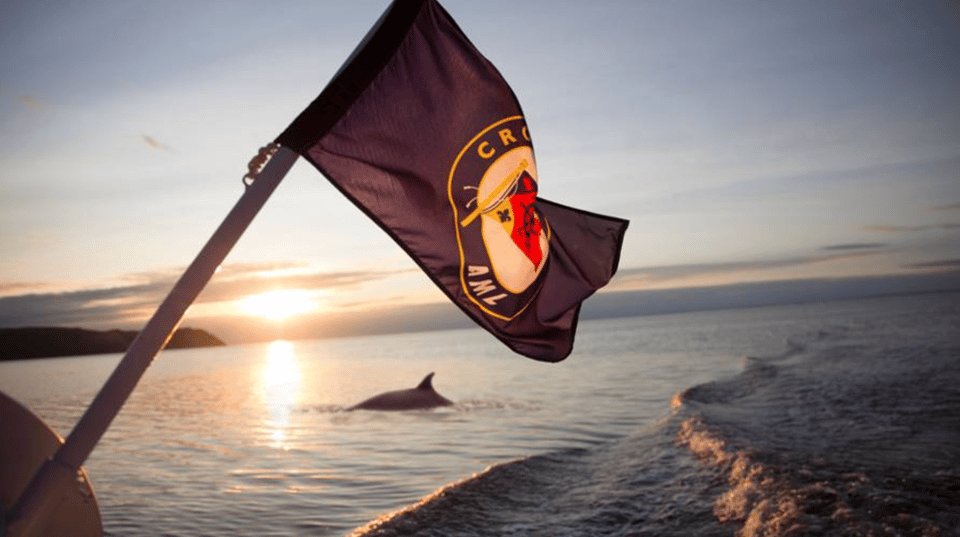 Tadoussac: Whales and Fjord Cruise Morning or Twilight Tour – Riviere-Eternite, Canada