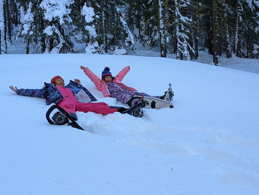 Tahoe City: Beginner- and Family-Friendly Snowshoe Tour – California, California