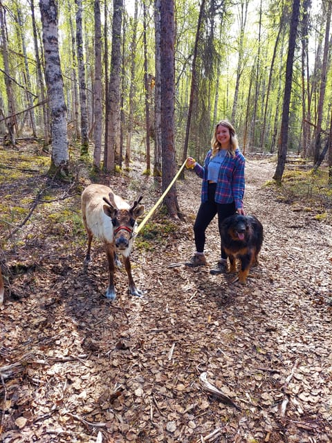 Talkeetna: The Reindeer Grove Homestead Tour and Forage – Talkeetna, Alaska