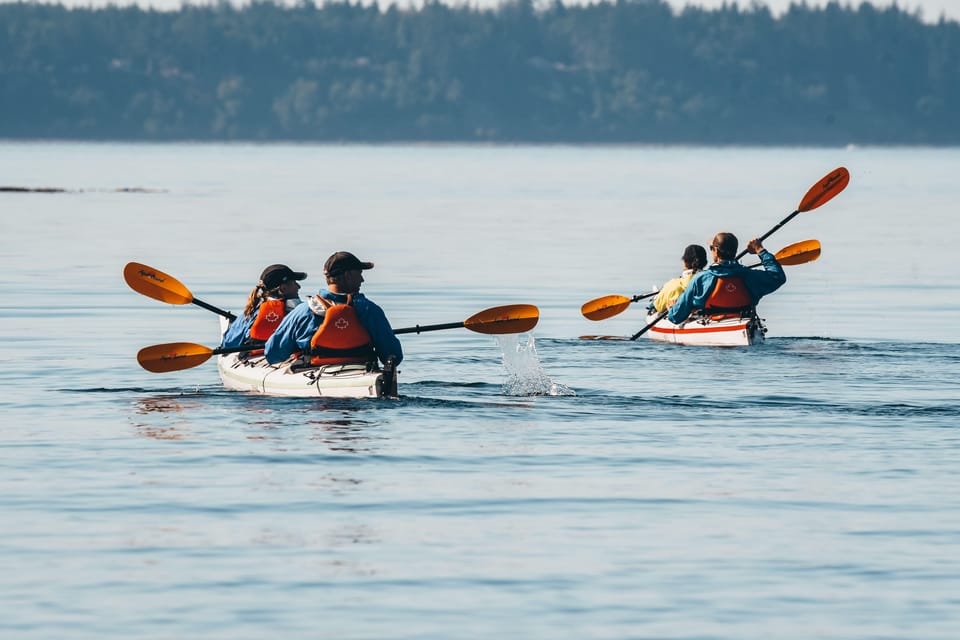 Telegraph Cove: Day Trip Kayaking Tour – Johnstone Strait, Canada