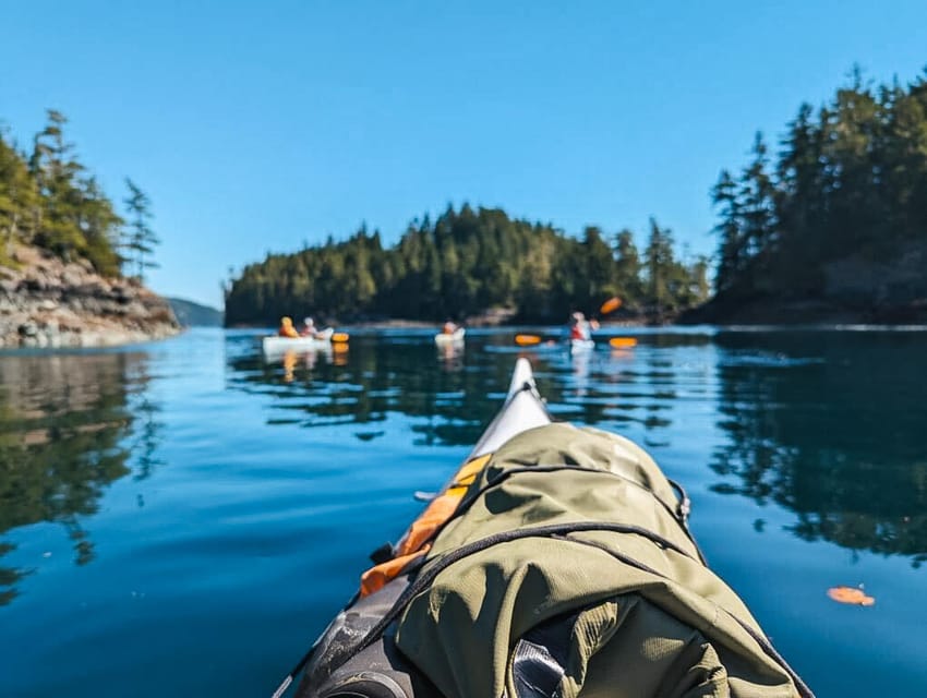 Telegraph Cove: Half-Day Kayaking Tour – Johnstone Strait, Canada