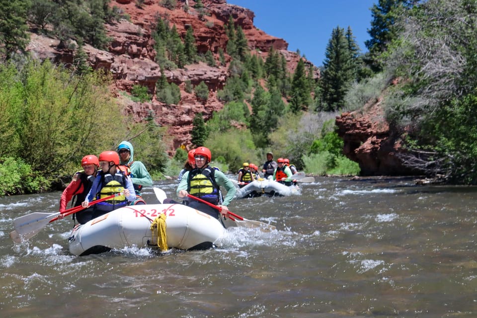 Telluride Whitewater Rafting – Full Day with Lunch – Telluride, Colorado