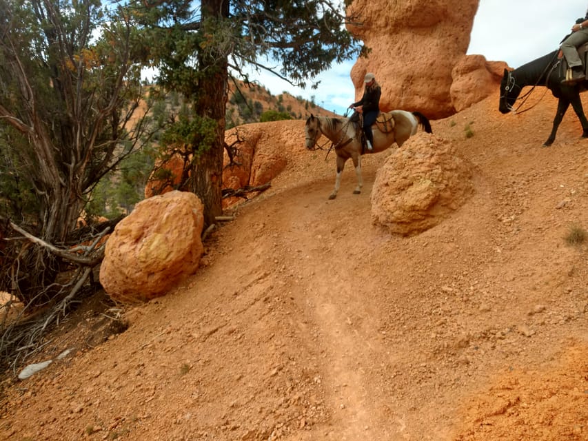 Thunder Mountain Trail: Scenic Horseback Ride – Thunder Mountain Trail, Utah