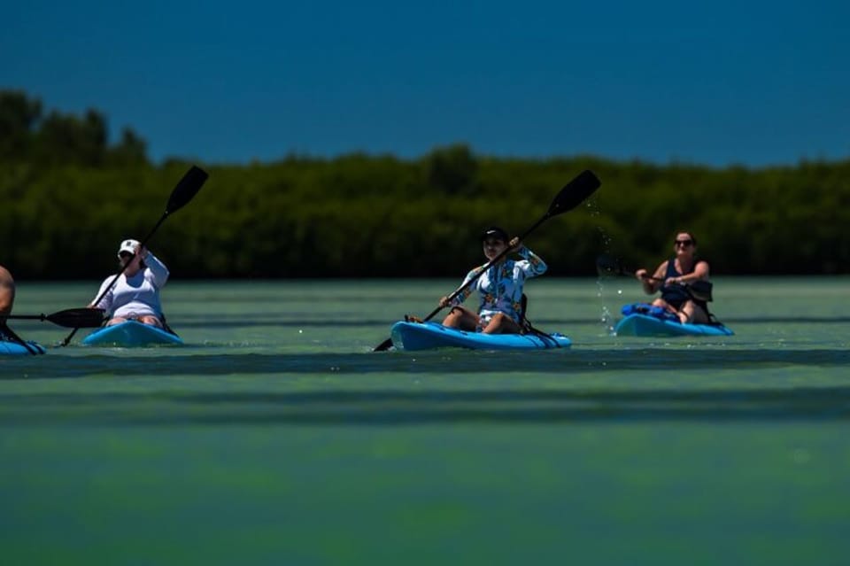 Tierra Verde: Kayak Tour at Shell Key with Capt Yak – Tierra Verde, Florida