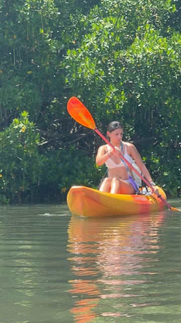 Tierra Verde: Shell Key Mangrove Private Guided 1.5 hr Tour – Tierra Verde, Florida