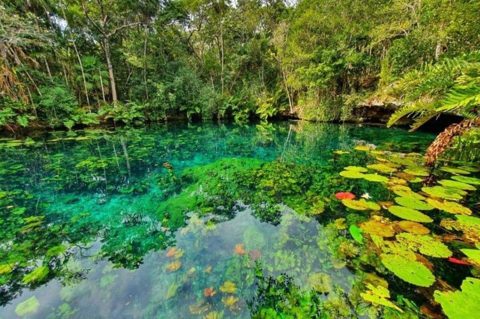 Tulum: Half-Day Adventure Zip line Cenote in Mayan Community – Tulum, Mexico