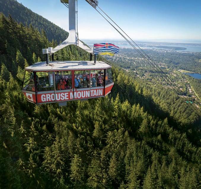 Vancouver: Guided Hiking Highlights at Grouse & Lynn Canyon – Vancouver, Canada