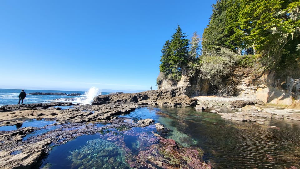 Vancouver Island: Glamping, Waterfall, Beaches and Hiking – Vancouver, Canada