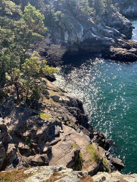 Vancouver: Lighthouse Park Hike – Vancouver, Canada