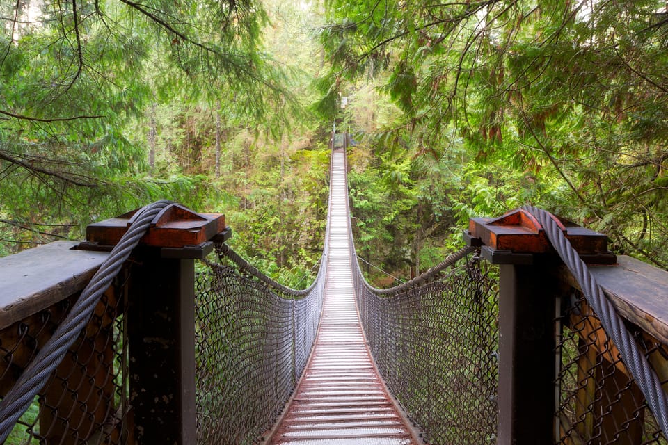 Vancouver: Lynn Valley Suspension Bridge & Nature Walk Tour – Vancouver, Canada