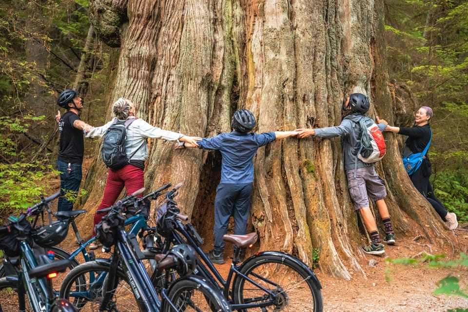 Vancouver: Stanley Park Bicycle Tour – Vancouver, Canada