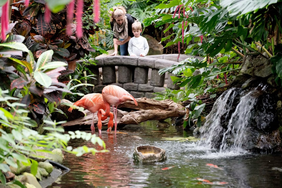 Victoria: Butterfly Gardens Admission Ticket – Victoria, British Columbia, Canada