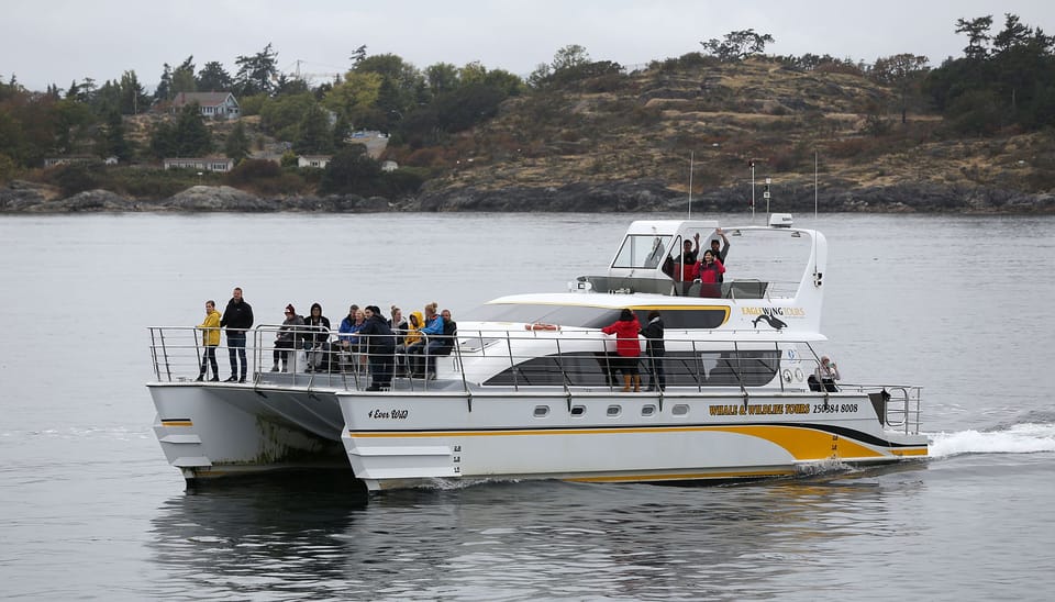 Victoria: Guided Whale and Wildlife-Watching Cruise – Victoria, British Columbia, Canada