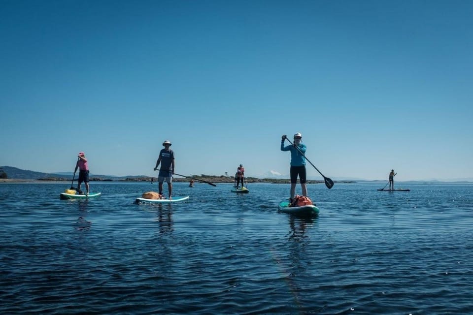 Victoria,BC: Learn to SUP and Tour – Victoria, British Columbia, Canada