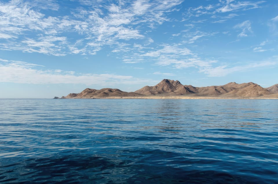 WHALE WATCHING LA VENTANA PRIVATE TOUR – La Ventana, Mexico