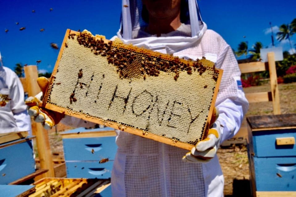 Waialua: North Shore Apiary Tour & Honey Tasting – Hawaii, Hawaii