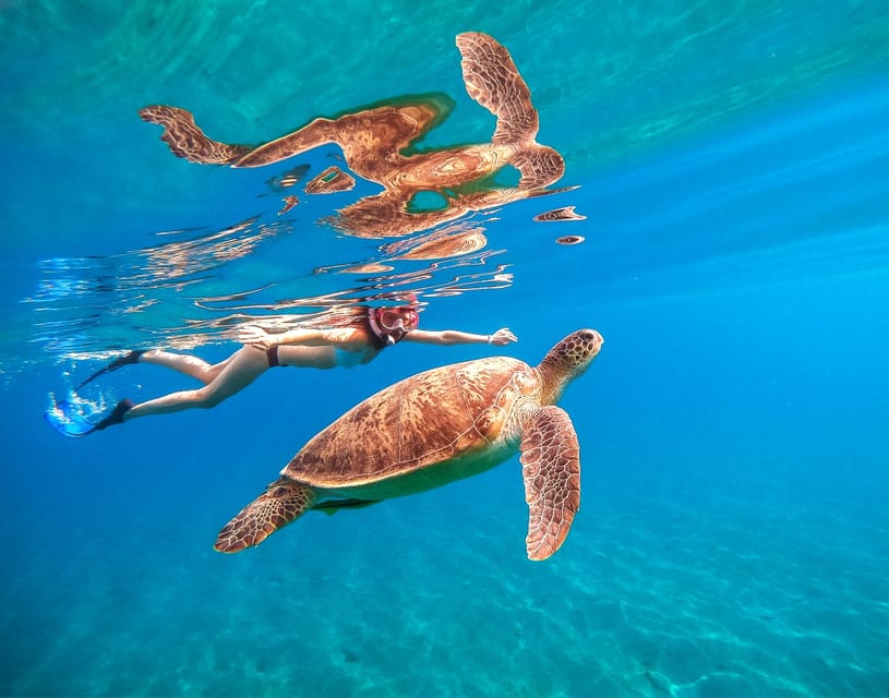 Waikiki: Turtle Snorkeling Cruise with 20ft Jumping Platform – Honolulu, Hawaii