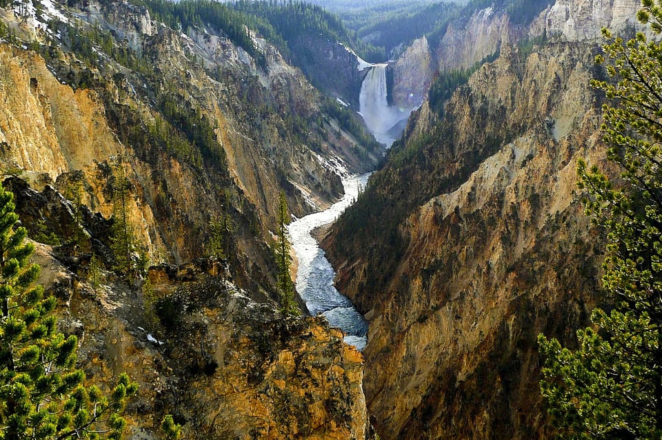 West Yellowstone: Yellowstone Day Tour Including Entry Fee – Norris Geyser Basin, Wyoming