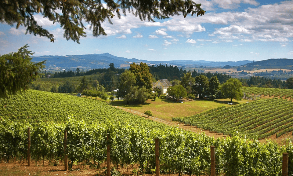 Willamette Valley Wine Tour: A journey for the senses – Portland, Oregon