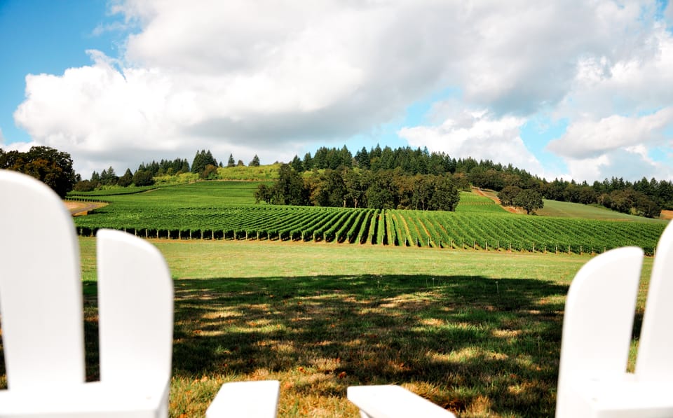 Willamette Valley Wine Tour (Tasting Fees Included) – Portland, Oregon