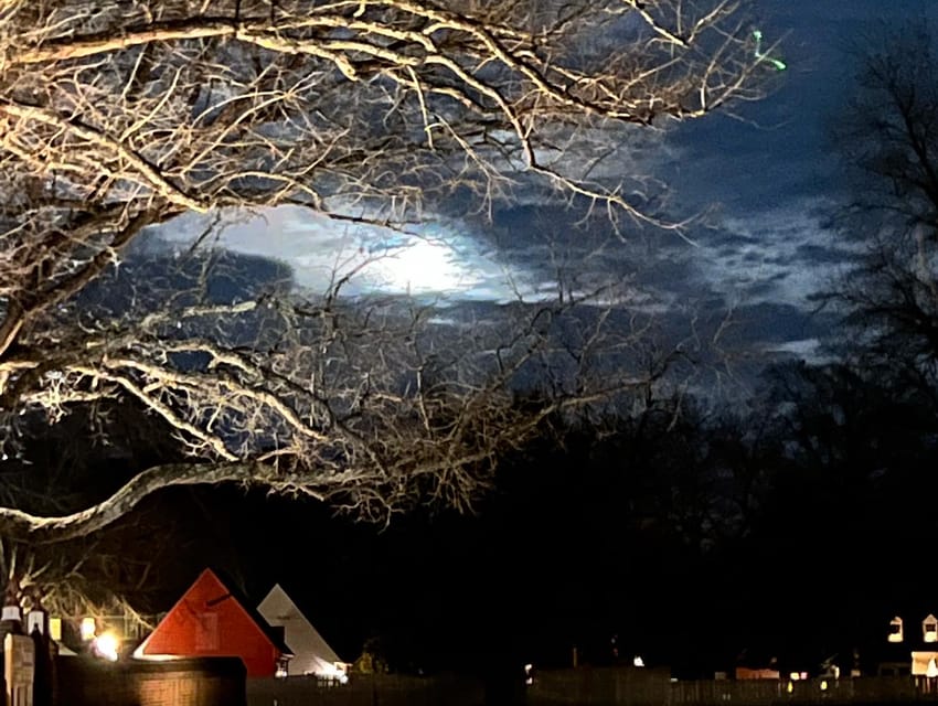 Williamsburg: Dead of Night Ghost Walking Tour – Williamsburg, Virginia