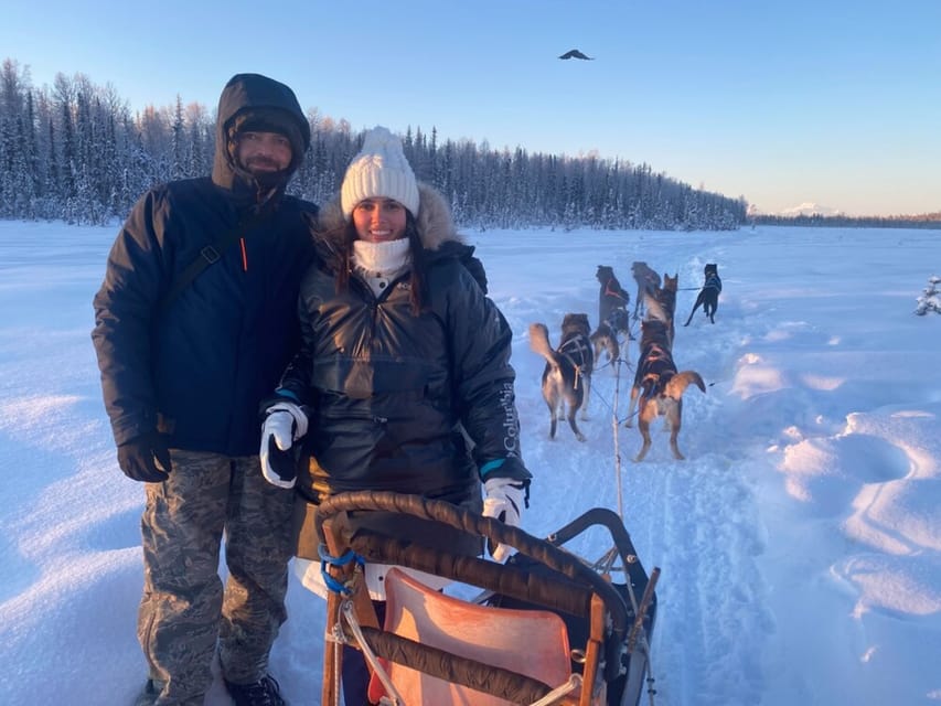 Willow: Traditional Alaskan Dog Sledding Ride – Alaska, Alaska