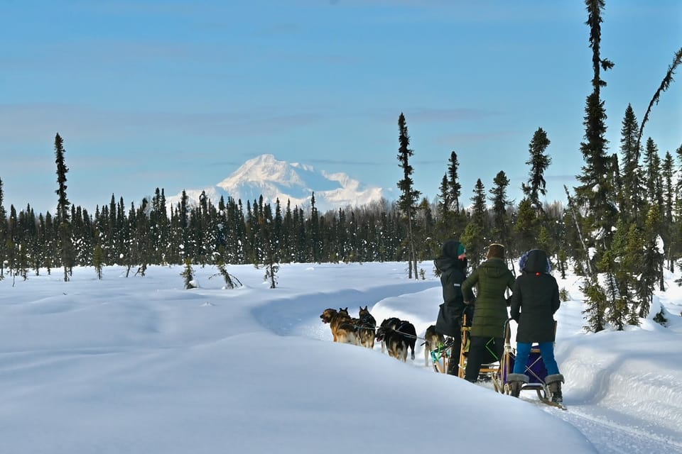 Winter Dog Sled Tour Day or Night Mush! – Talkeetna, Alaska