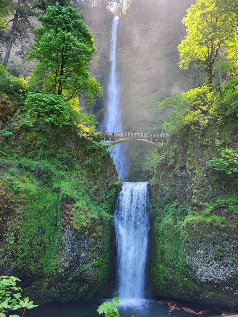 Wonderful Waterfalls and Columbia River Gorge Tour – Latourell Falls, Oregon