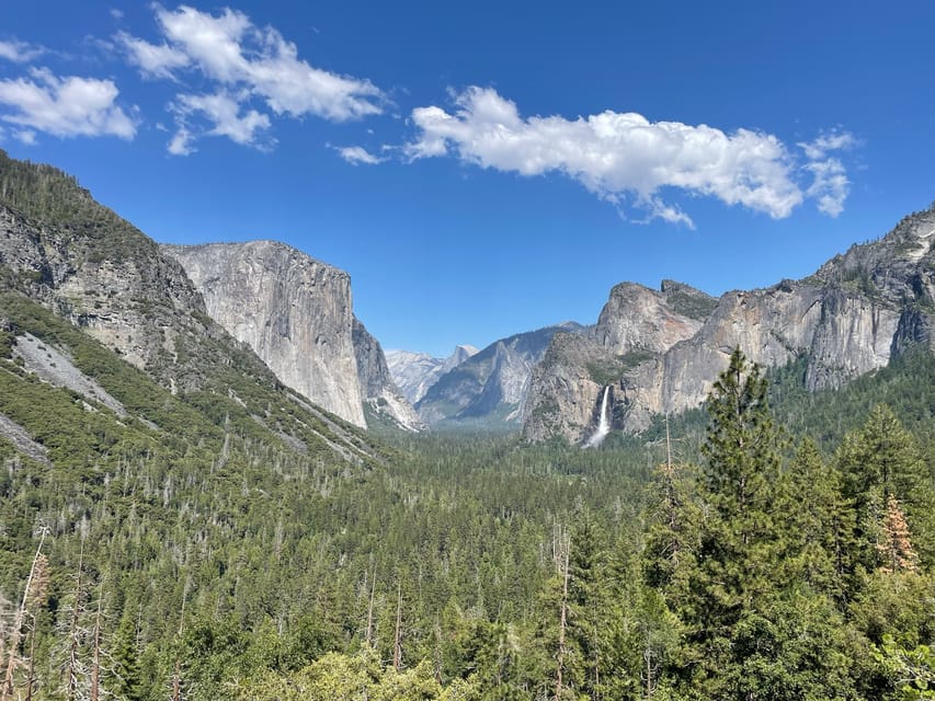 Yosemite, Giant Sequoias, Private Tour from San Francisco – California, California