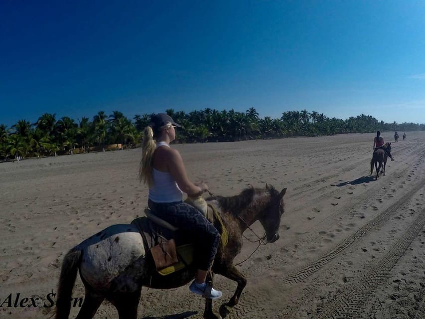 Zihuatanejo: Horseback Riding Tour – Zihuatanejo, Mexico