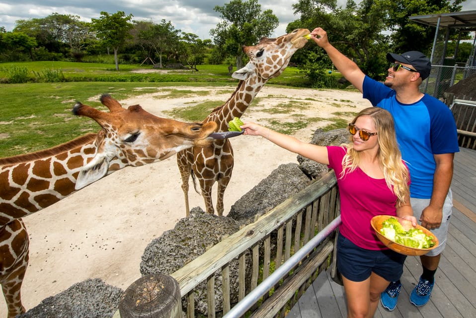 Zoo Miami: General Admission Ticket – Miami, Florida